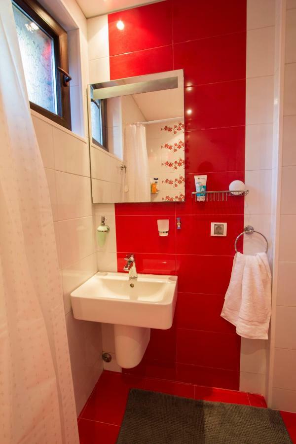 Modern Apartment In The Heart Of Vidin Exteriör bild