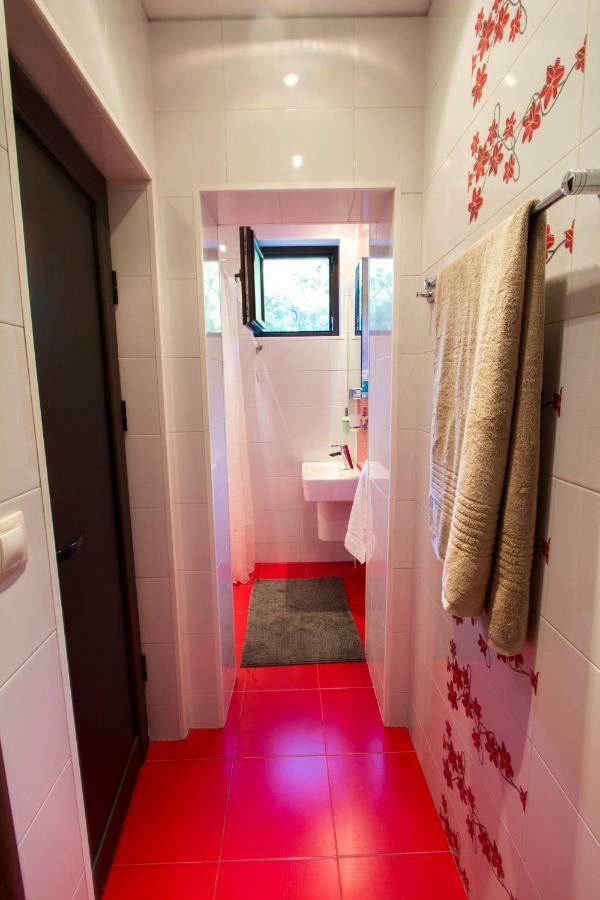 Modern Apartment In The Heart Of Vidin Exteriör bild
